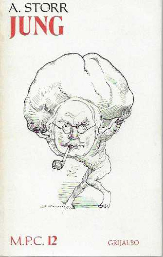 JUNG   ---en perfecto estado---