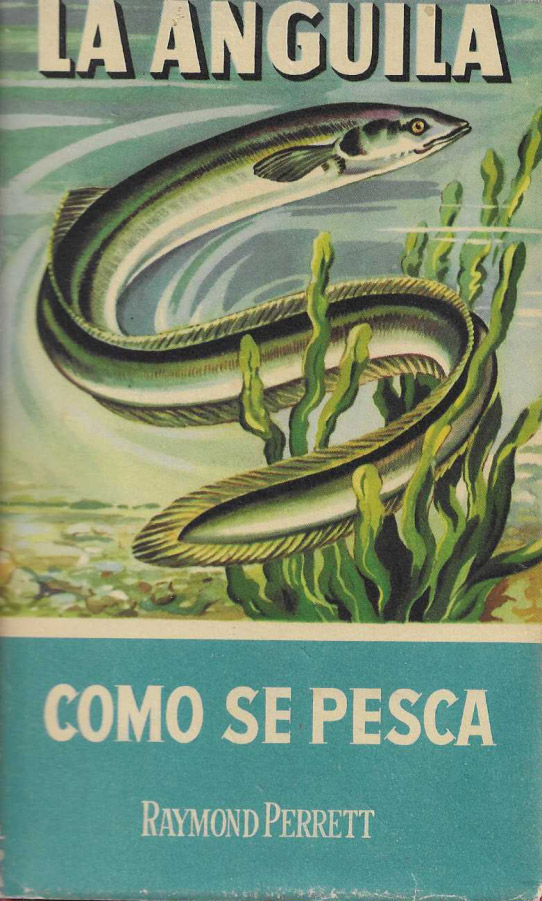 La anguila. Como se pesca.