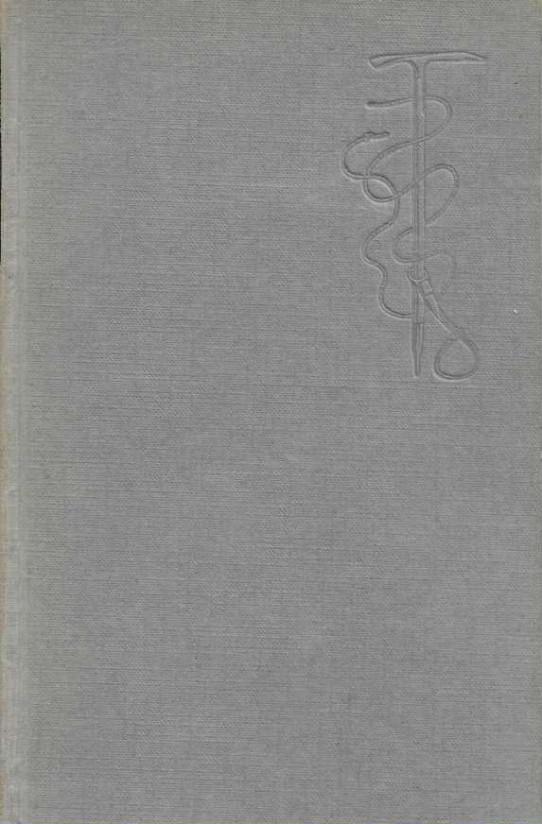 LA ASCENSIÓN AL EVEREST.