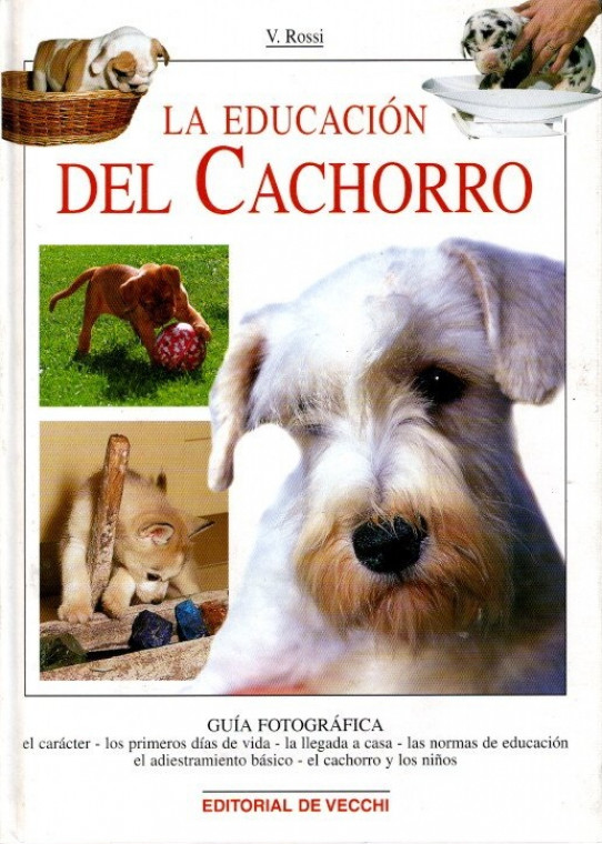 LA EDUCACIÓN DEL CACHORRO