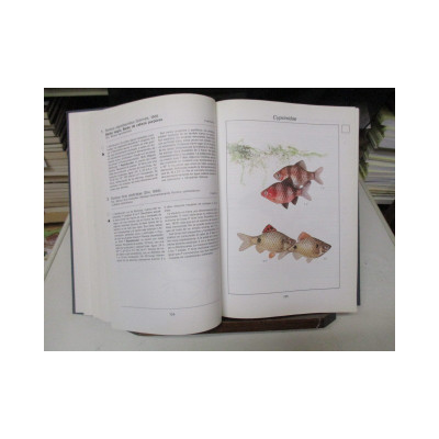 La gran enciclopedia de los peces de acuario. / Ivan Petrovický.