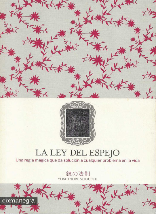 La ley del espejo. La regla mágica que da solución a cualquier problema de la vida.