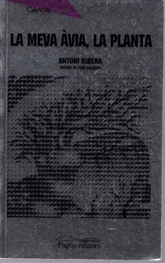 LA MEVA ÀVIA, LA PLANTA