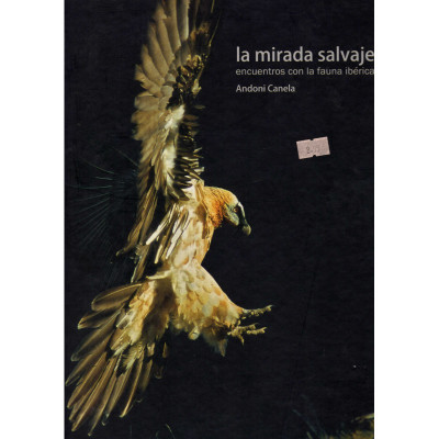 La mirada salvaje. Encuentros con la fauna ibérica. / Andoni Canela.