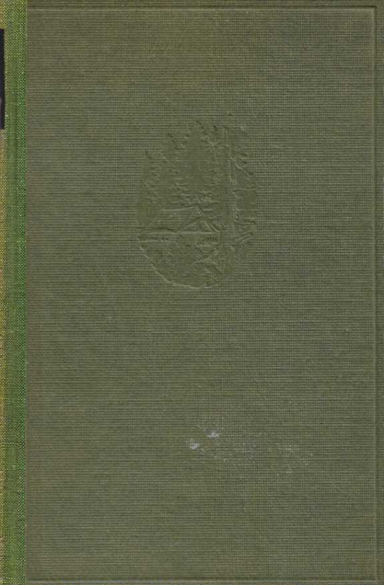 LA MONTAÑA NO QUISO