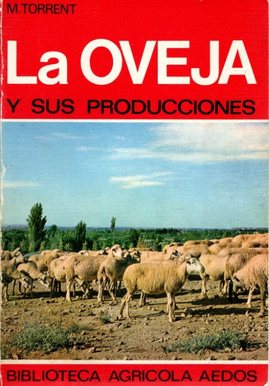 LA OVEJA Y SUS PRODUCCIONES