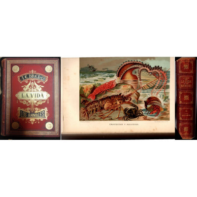 La Vida de los animales : conocimiento general del reino animal / Alfred Edmund Brehm