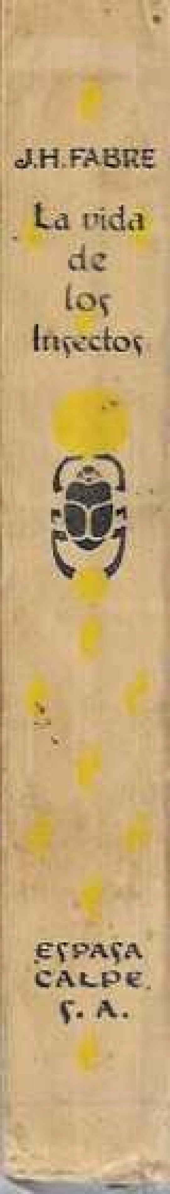 LA VIDA DE LOS INSECTOS