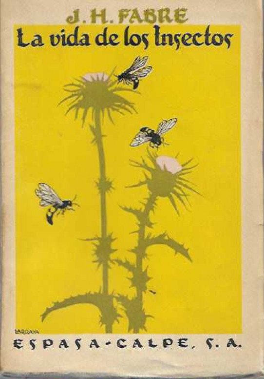 LA VIDA DE LOS INSECTOS