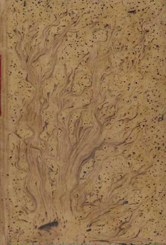 La vida de un tallo de yerba.