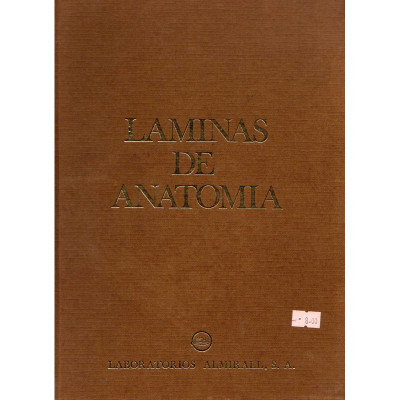 Laminas de anatomia