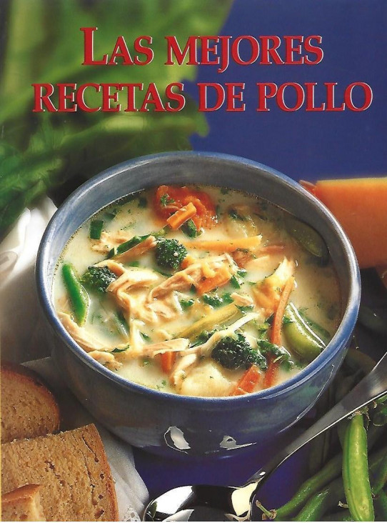 LAS MEJORES RECETAS DE POLLO