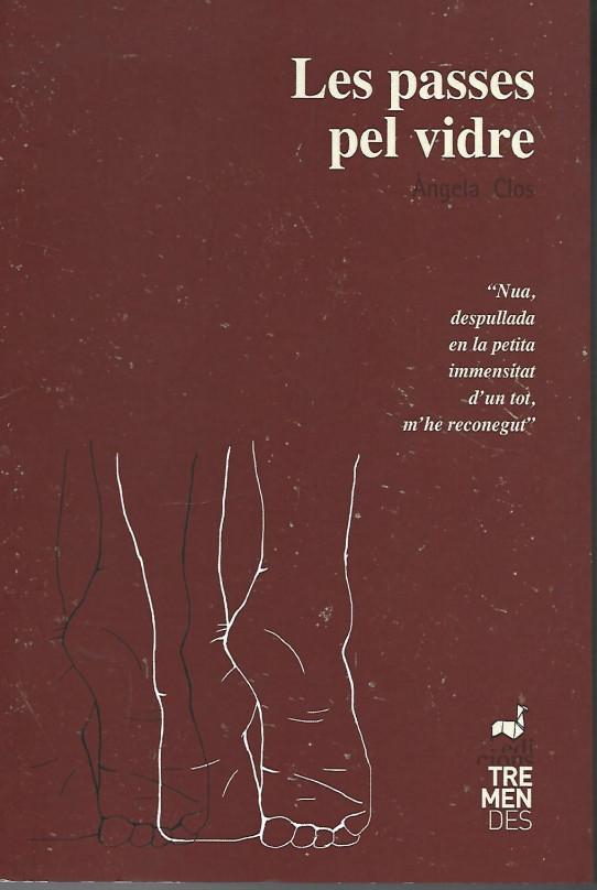 LES PASSES PEL VIDRE