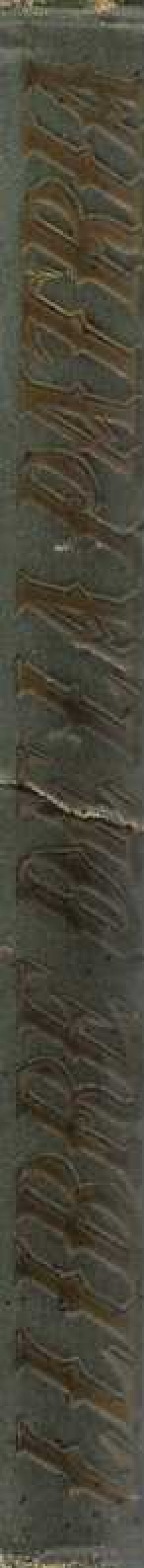 LLIBRE DE LA PÀTRIA.