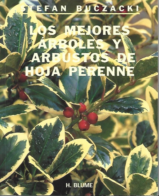 LOS MEJORES ÁRBOLES Y ARBUSTOS DE HOJA PERENNE