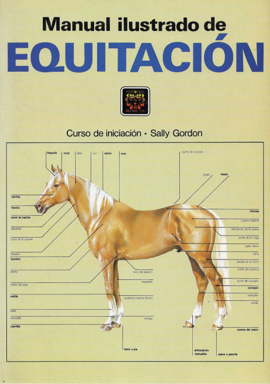 Manual de equitación. Curso de iniciación.