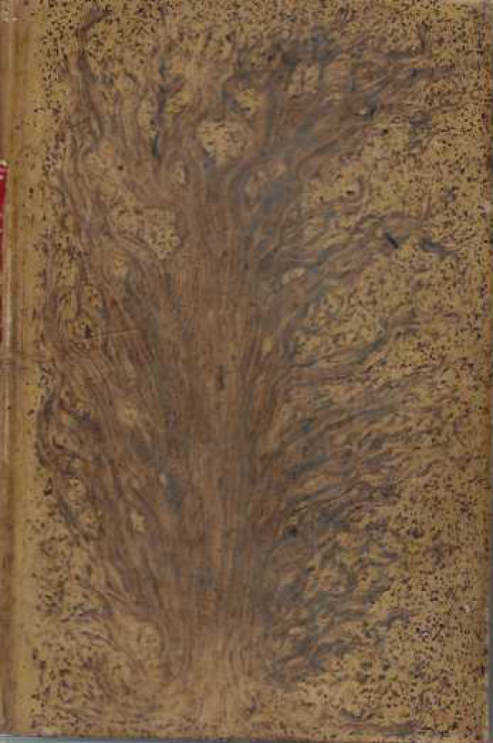 Mi casa. Historia familiar de mi cuerpo.