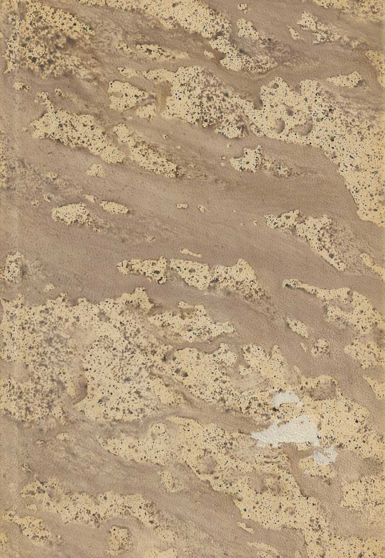 Milagros de Nuestra Señora