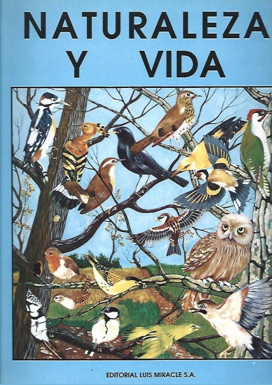 NATURALEZA Y VIDA