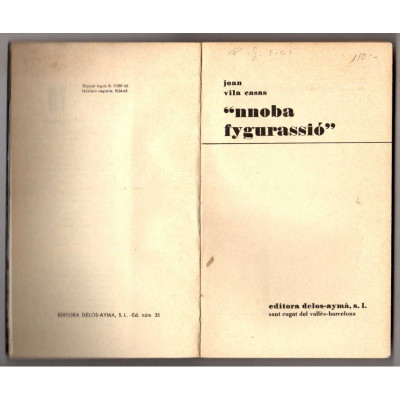 Nnoba fygurassió / Joan Vila Casas