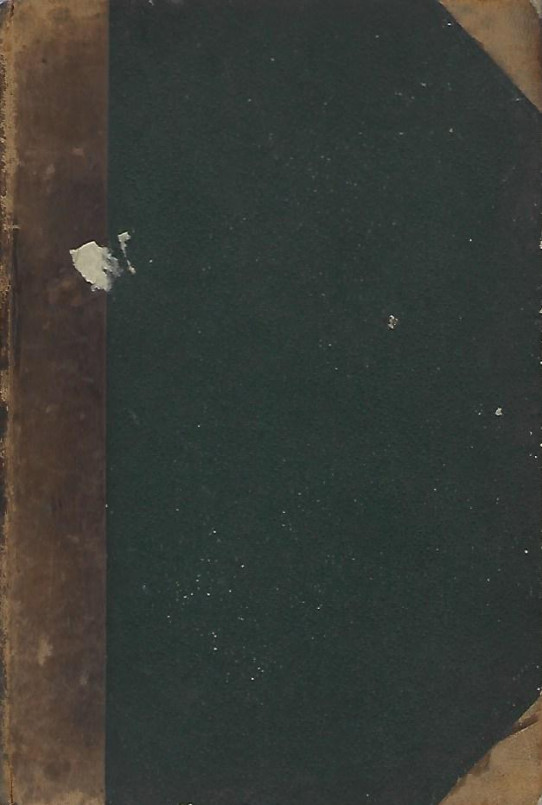 NUOVI STUDI INTORNO AI MEZZI USATI DAGLI ANTICHI PER ATTENUARE LE DISASTROSE CONSEGUENZE DEI TERRMOTI