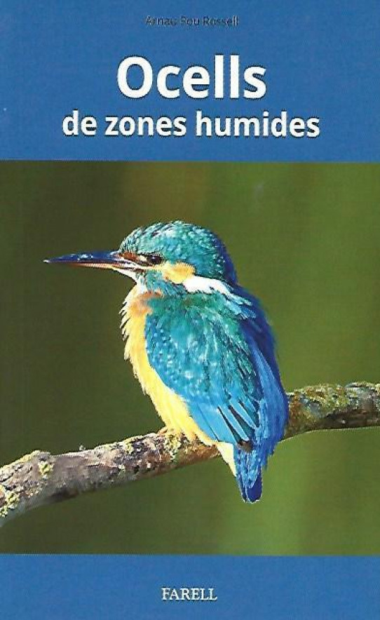 OCELLS DE ZONES HUMIDES