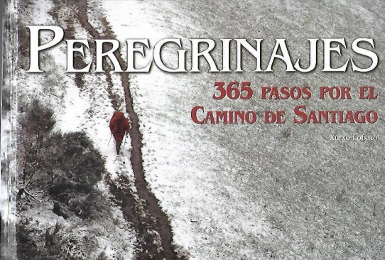 PEREGRINAJES  / PILGRIMAGES