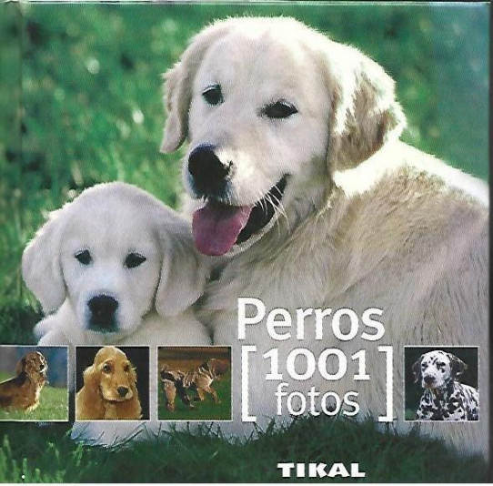 PERROS (1001 FOTOS)