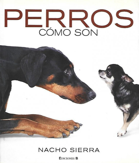 PERROS. CÓMO SON