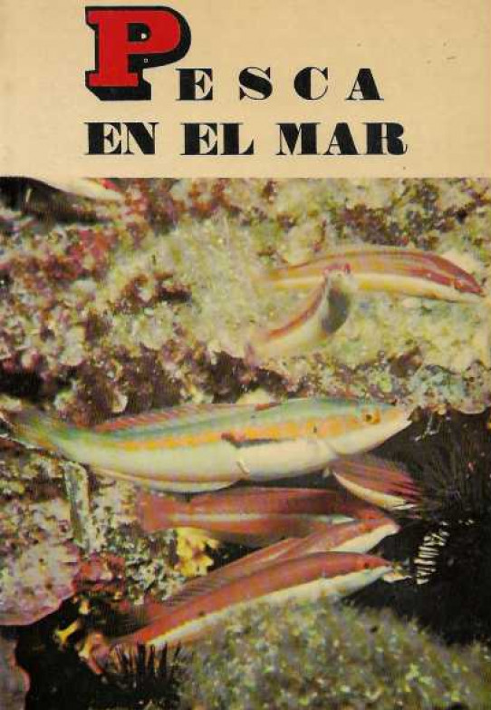 PESCA EN EL MAR