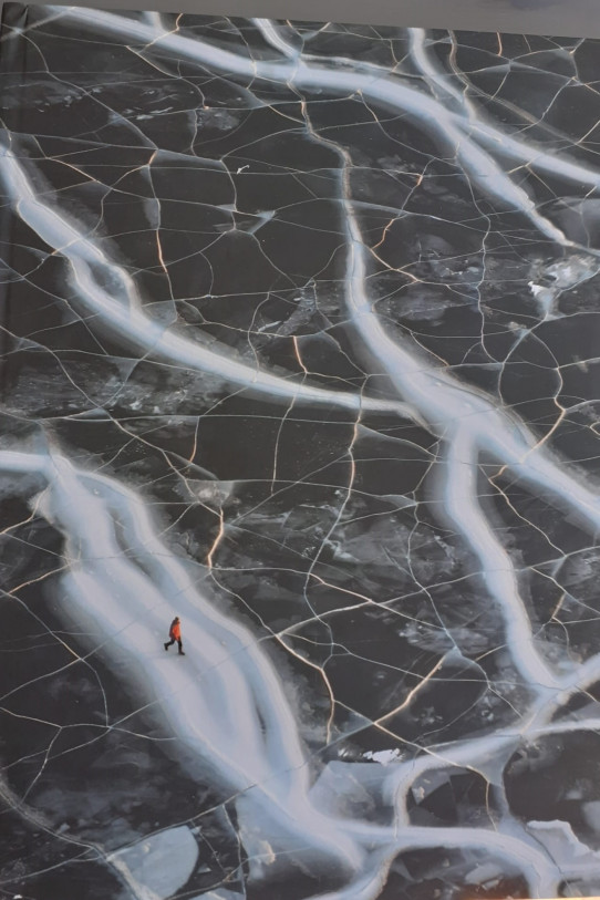 PLANETA UNICO (Las mejores fotografias del mundo  premiadas)