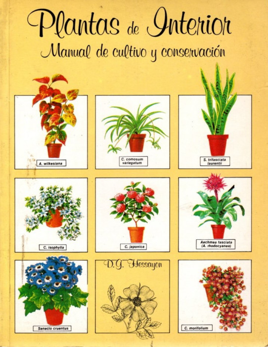 PLANTAS DE INTERIOR. MANUAL DE CULTIVO Y CONSERVACIÓN