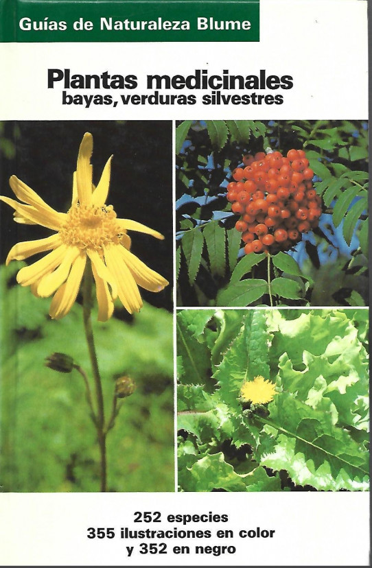 PLANTAS MEDICINALES, BAYAS, VERDURAS SILVESTRES