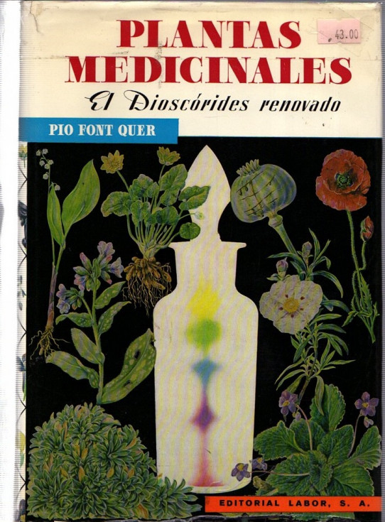 PLANTAS MEDICINALES