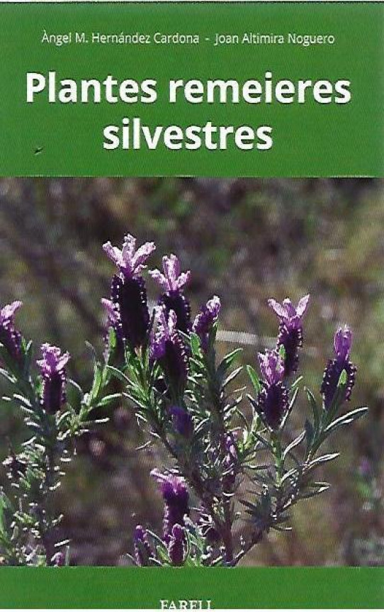 PLANTES REMEIERES SILVESTRES