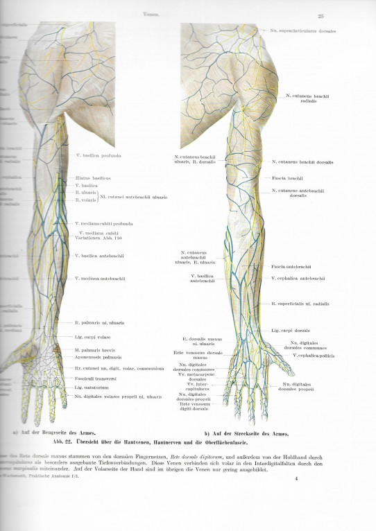 PRAKTISCHE ANATOMIE 1/3 ARM. ZWEITE AUFLAGE