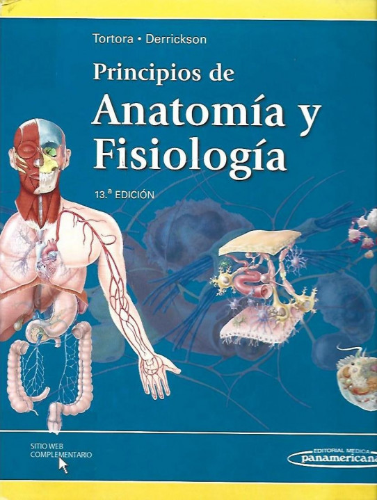 PRINCIPIOS DE ANATOMIA Y FISIOLOGIA