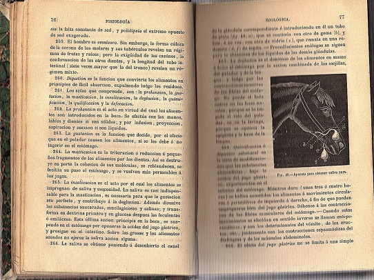 PROGRAMA DE UN CURSO DE HISTORIA NATURAL para uso de los Institutos de Segunda Enseñanza y Escuelas Normales