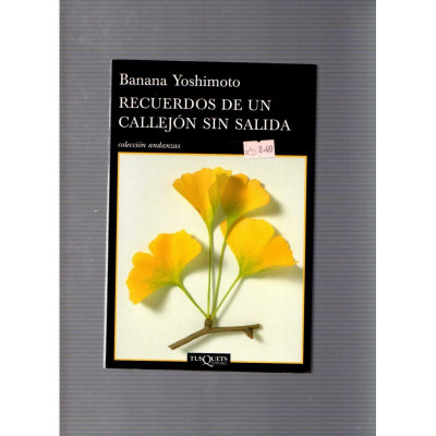 Recuerdo de un callejón sin salida / Banana Yoshimoto