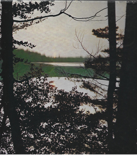 REFLECTIONS AT WALDEN