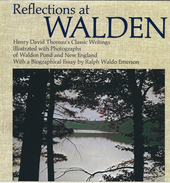 REFLECTIONS AT WALDEN