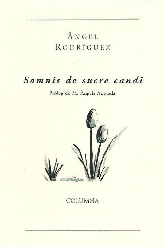 SOMNIS DE SUCRE CANDI