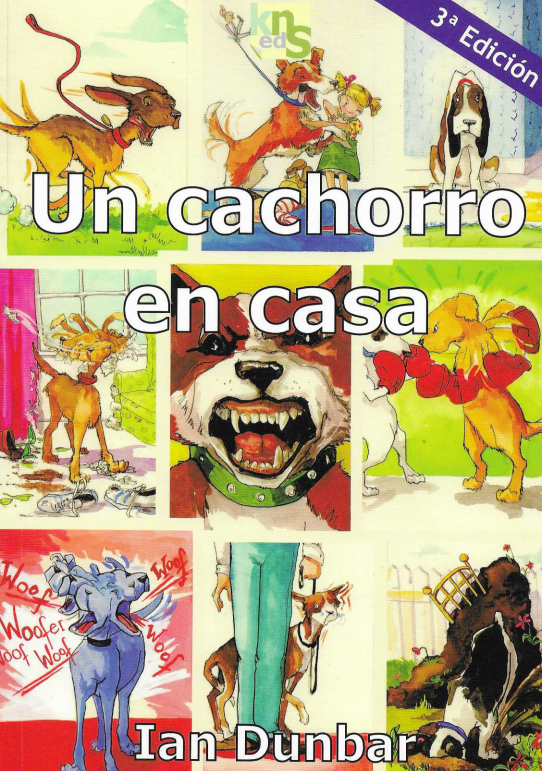 Un cachorro en casa.