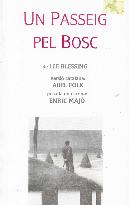 Un passeig pel bosc.