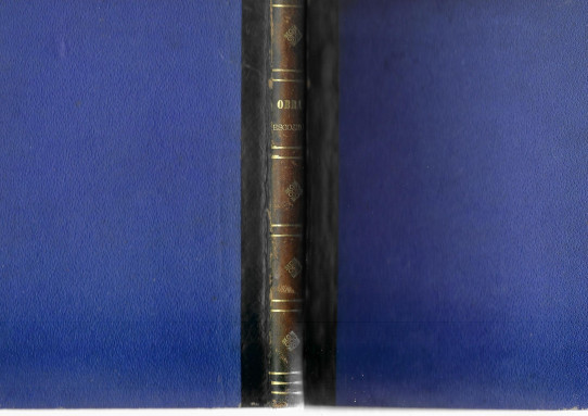 Varias publicaciones de finales del s.XIX : ALMANAQUE CÓMICO PARA 1874. EL GRITO ESPAÑOL. COMEDIA DE FIGURON. FLOR DE UN DIA