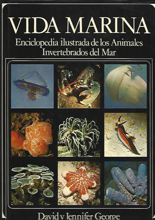 VIDA MARINA ENCICLOPEDIA ILUSTRADA DE LOS ANIMALES INVERTEBRADOS DEL MAR