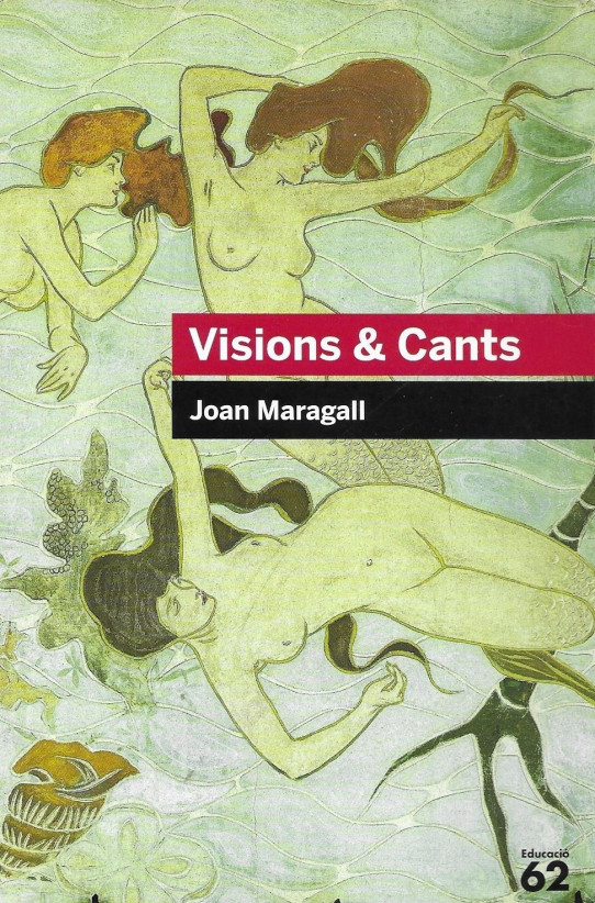 VISIONS & CANTS